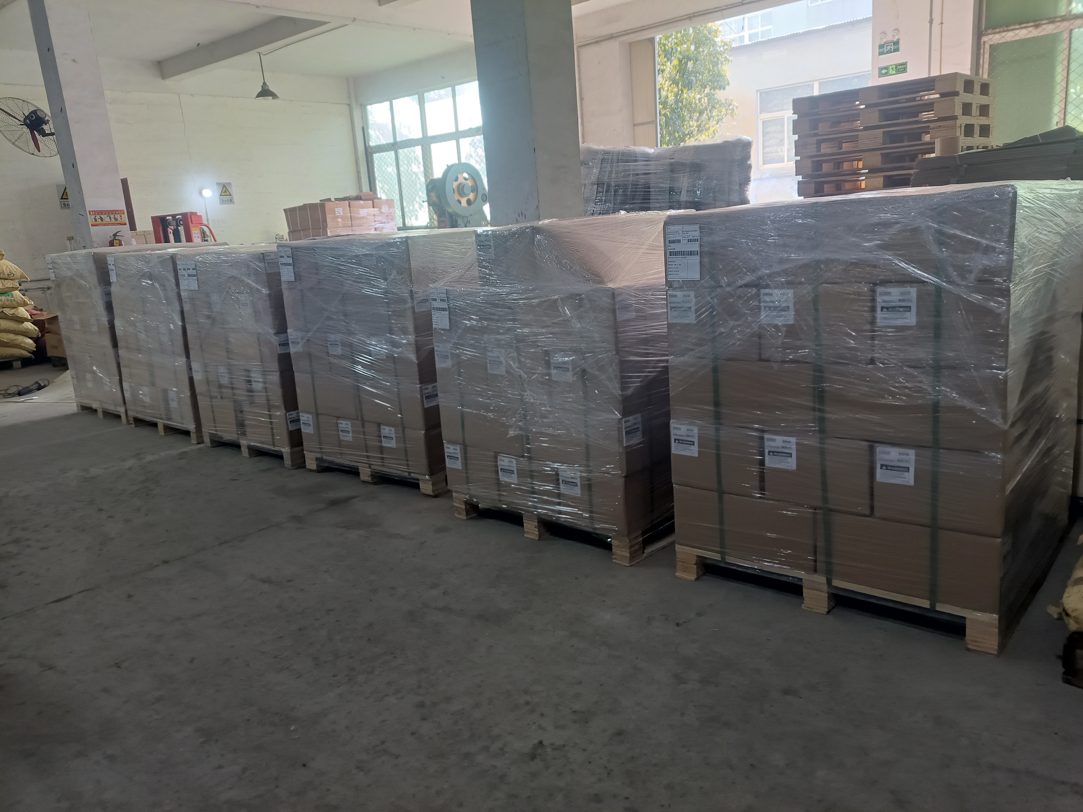 Kambarinių movų siuntimas